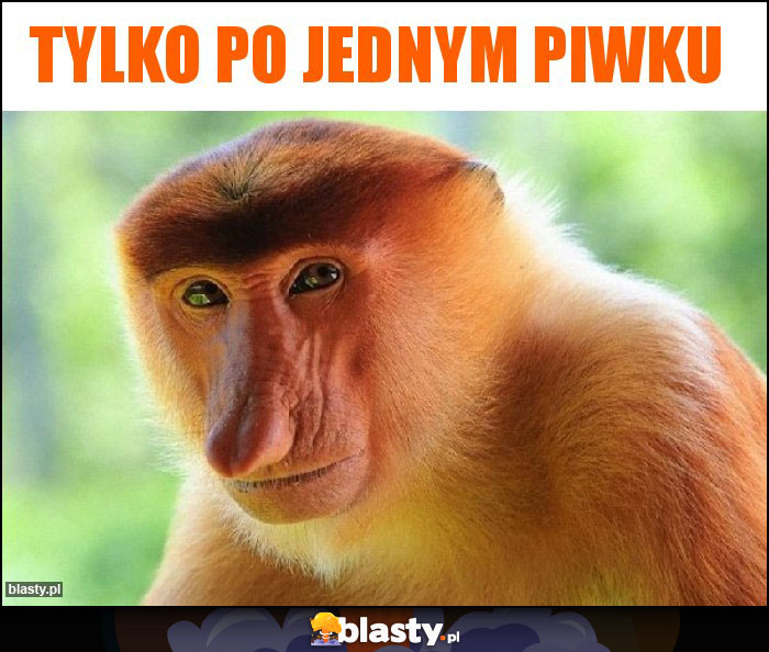 Tylko po jednym piwku