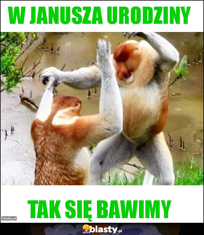 W Janusza urodziny