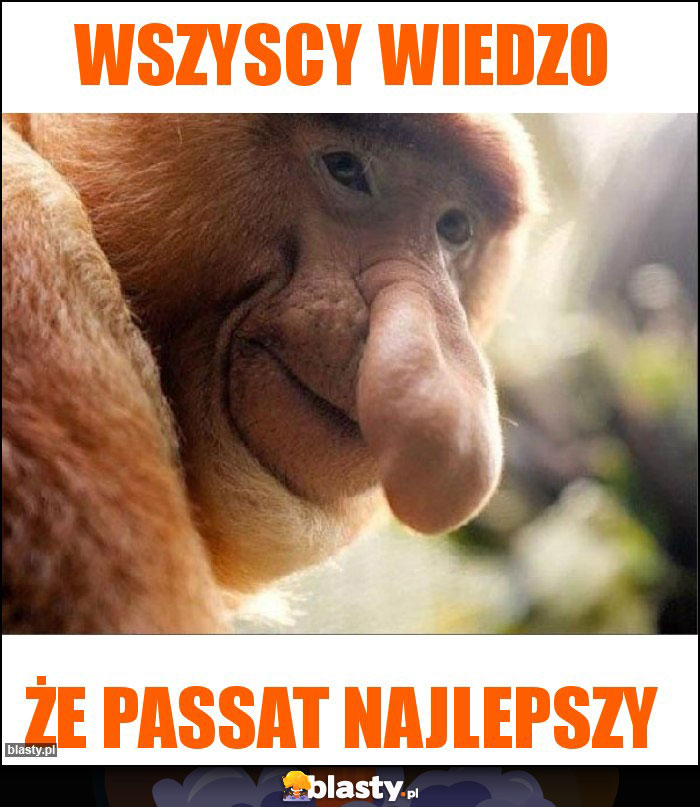 Wszyscy wiedzo