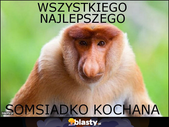 Wszystkiego najlepszego