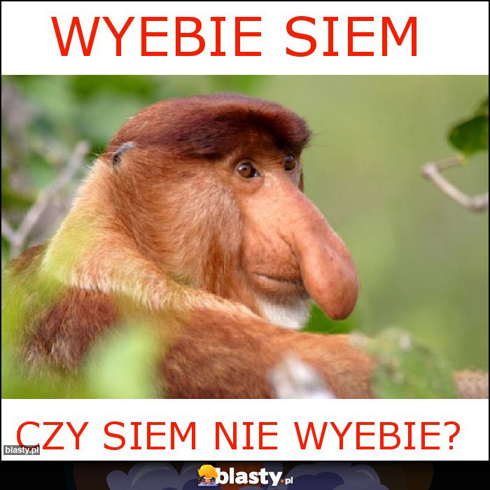 Wyebie siem