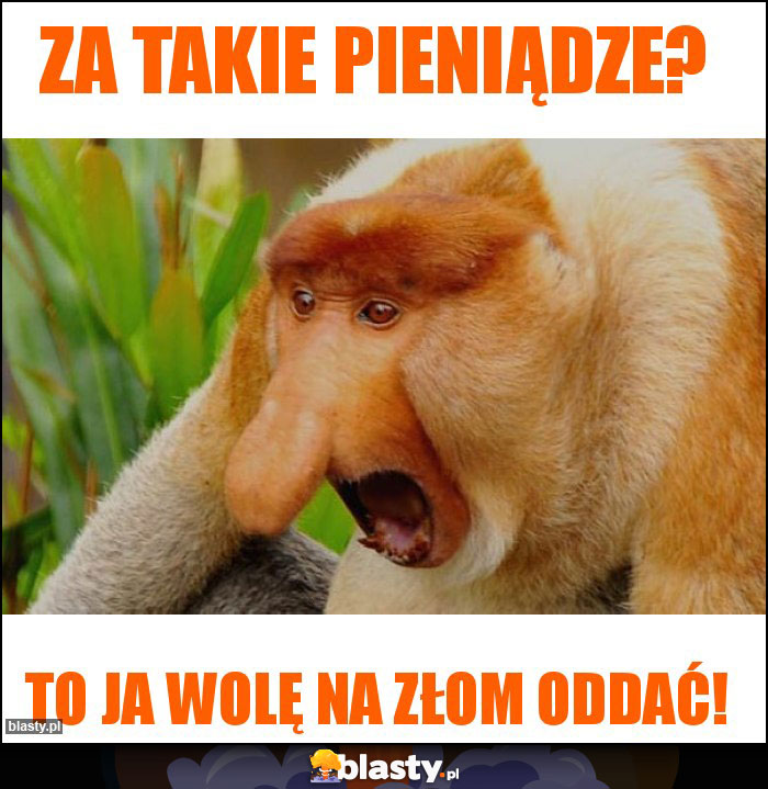 Za takie pieniądze?