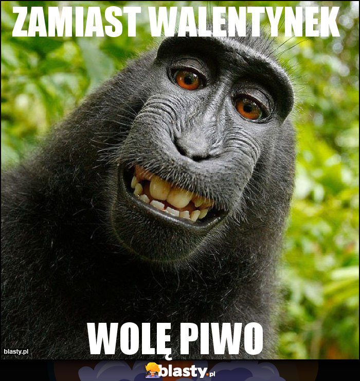 ZAMIAST WALENTYNEK