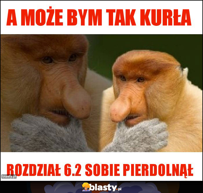 A może bym tak kurła