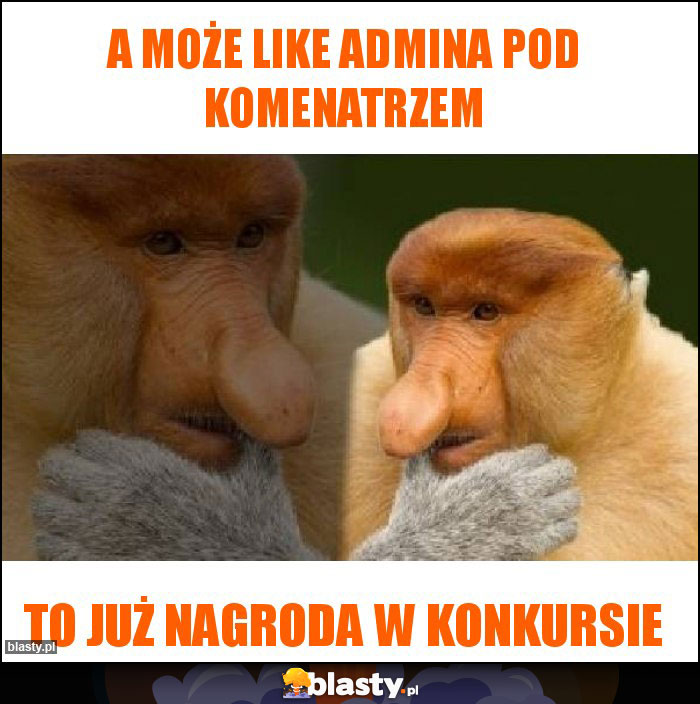 A MOŻE LIKE ADMINA POD KOMENATRZEM