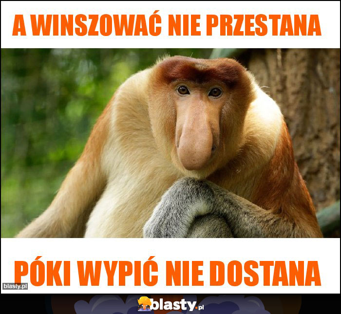 A winszować nie przestana