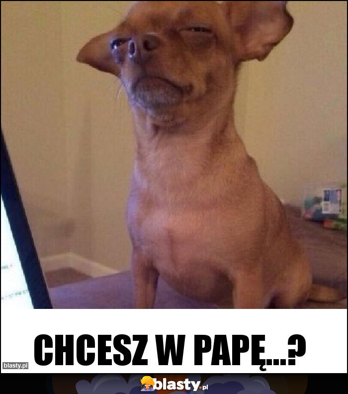 Chcesz w papę...?