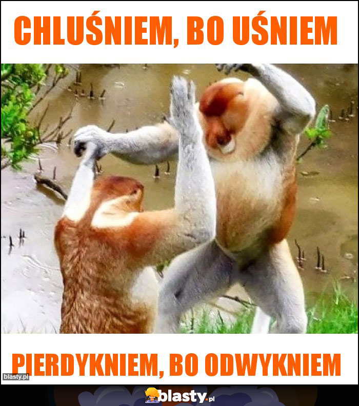 Chluśniem, bo uśniem