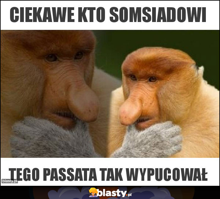 ciekawe kto somsiadowi