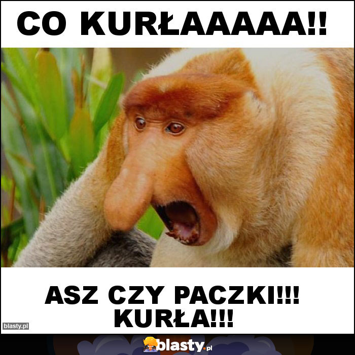 CO KURŁAAAAA!!