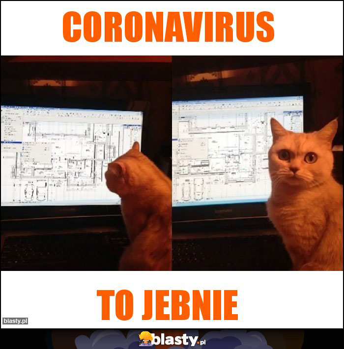 Coronavirus