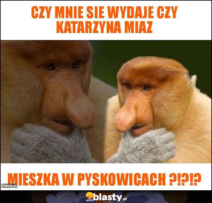 Czy mnie sie wydaje czy Katarzyna Miaz