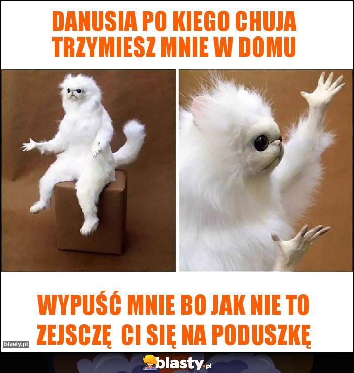 Danusia po kiego chuja trzymiesz mnie w domu