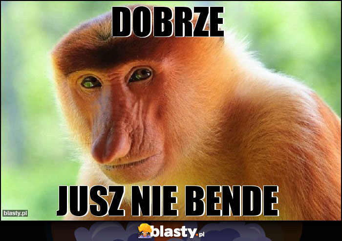 DOBRZE