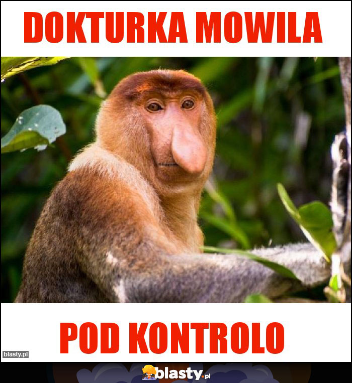 DOKTURKA MOWILA