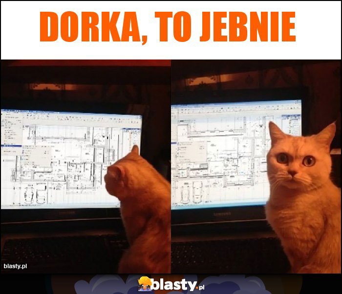 Dorka, to jebnie