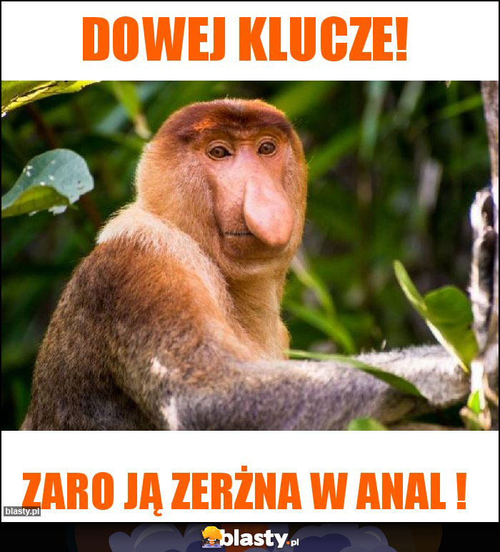 DOWEJ KLUCZE!