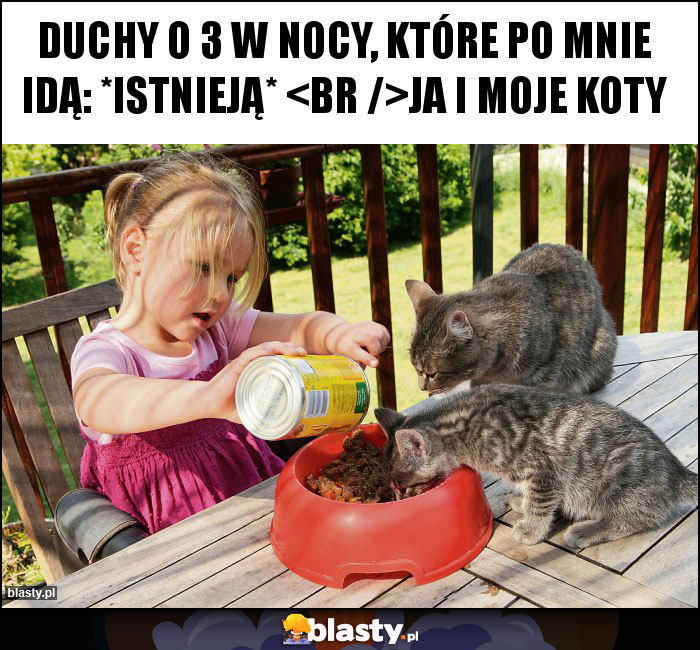 Duchy o 3 w nocy, które po mnie idą: *istnieją* 
Ja i moje koty