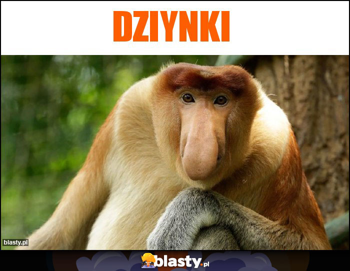 Dziynki