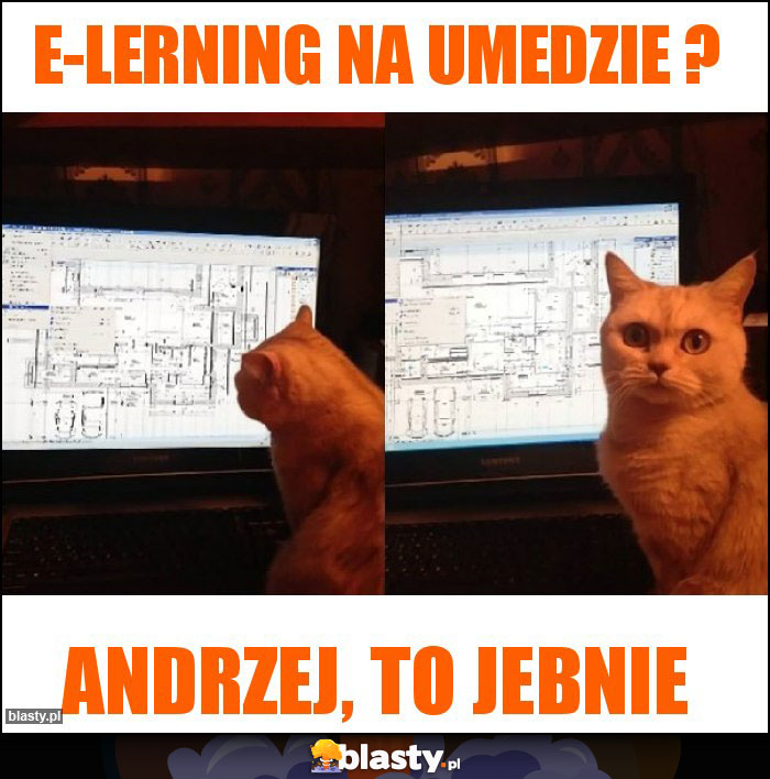 e-lerning na umedzie ?