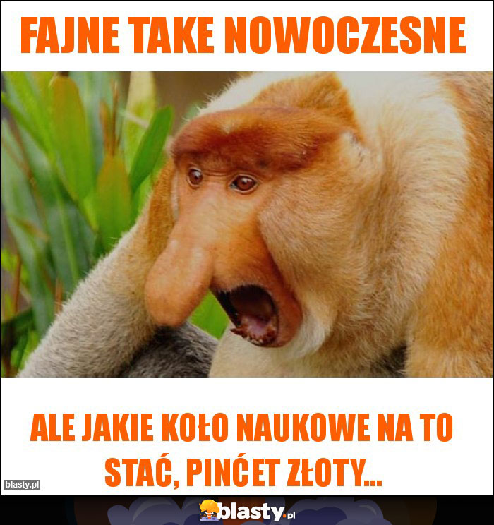 Fajne take nowoczesne