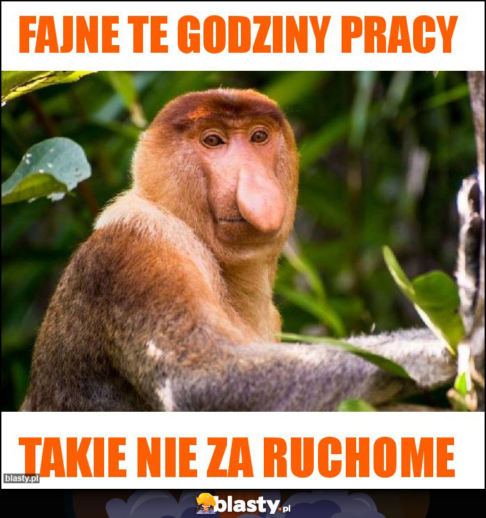 Fajne te godziny pracy