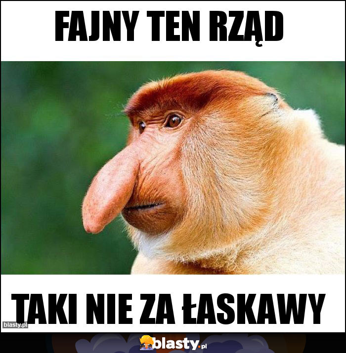 FAJNY TEN RZĄD