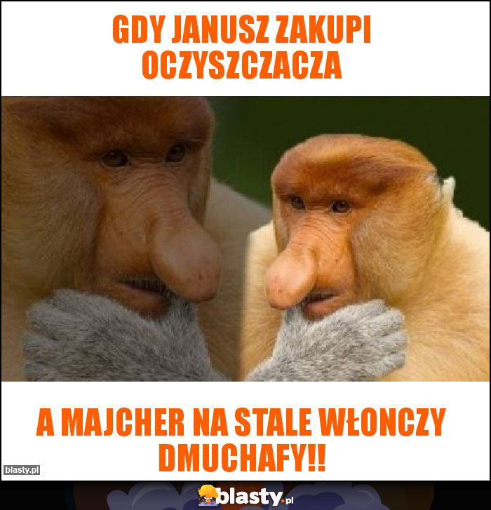 Gdy janusz zakupi oczyszczacza