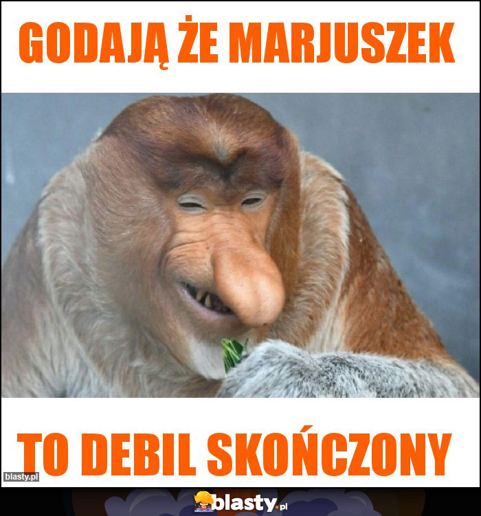 GODAJĄ ŻE MARJUSZEK