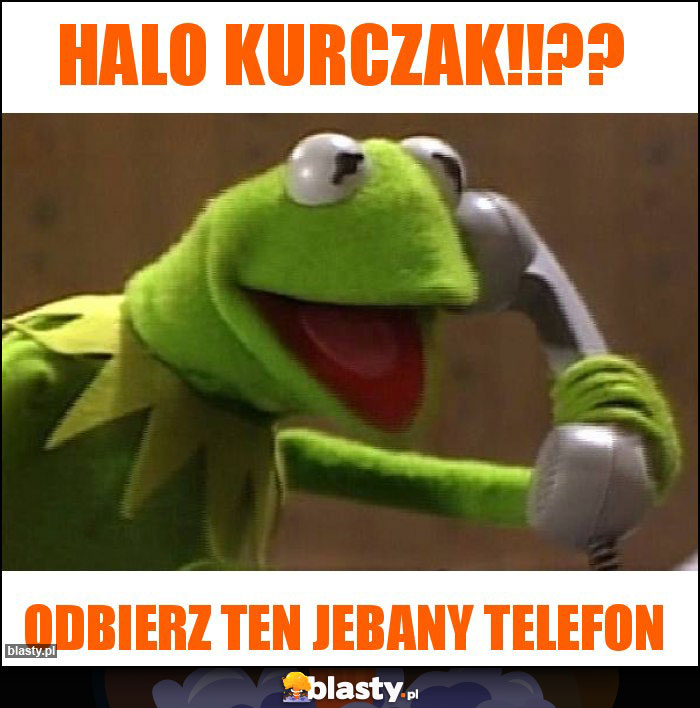 Halo kurczak!!??