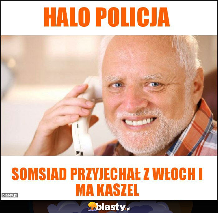 Halo policja