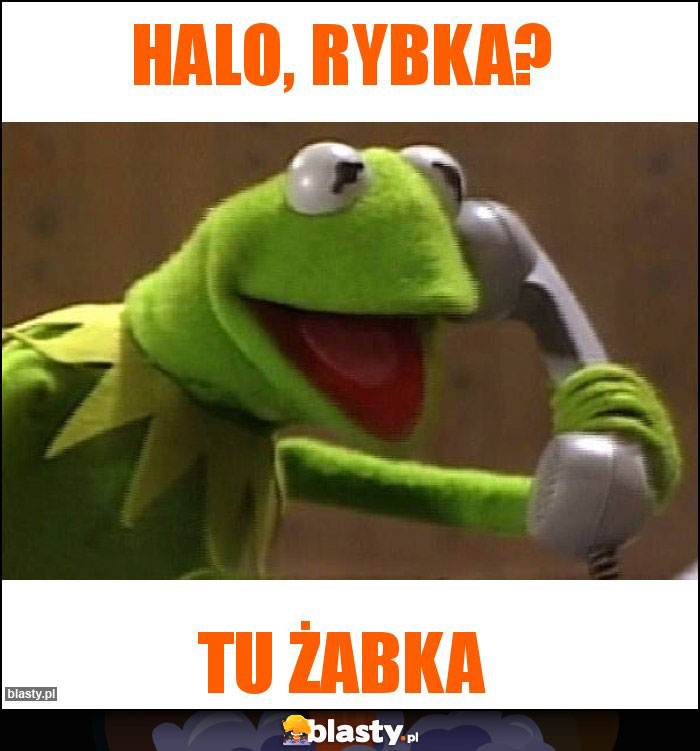 halo, rybka?