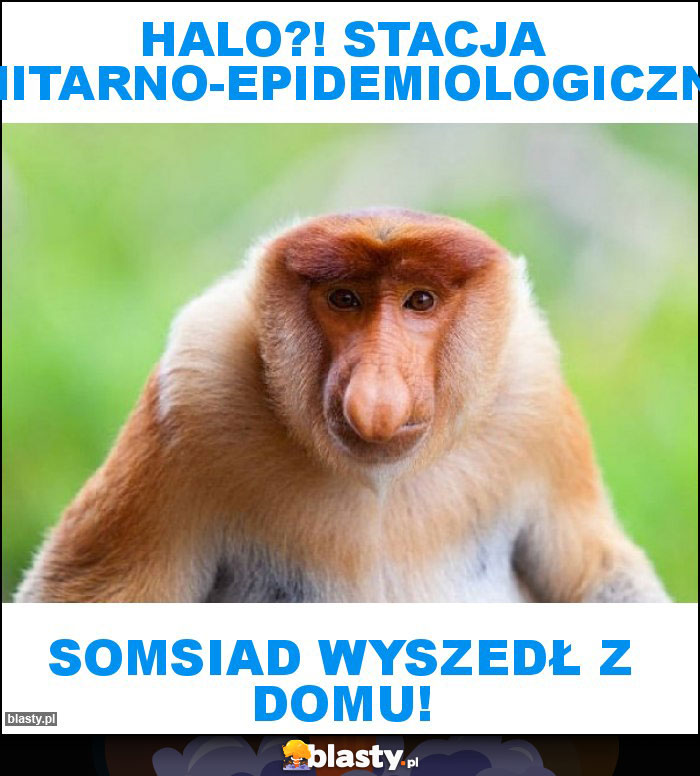 Halo?! Stacja sanitarno-epidemiologiczna?