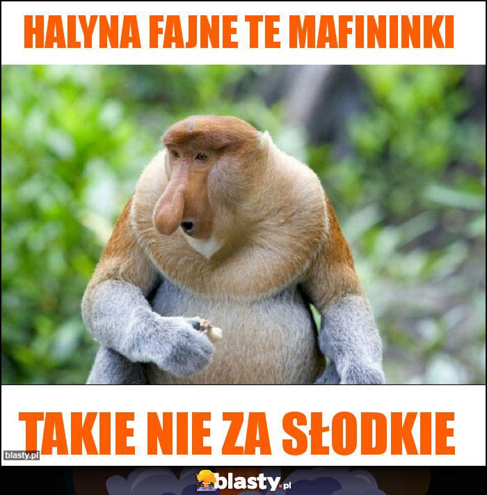 Halyna fajne te mafininki