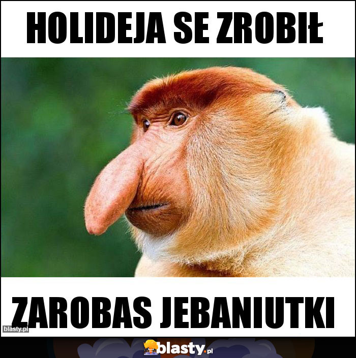 Holideja se zrobił