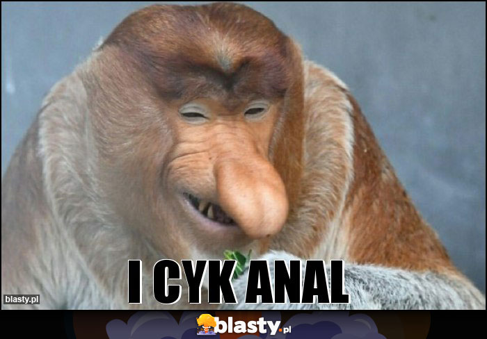 I cyk anal