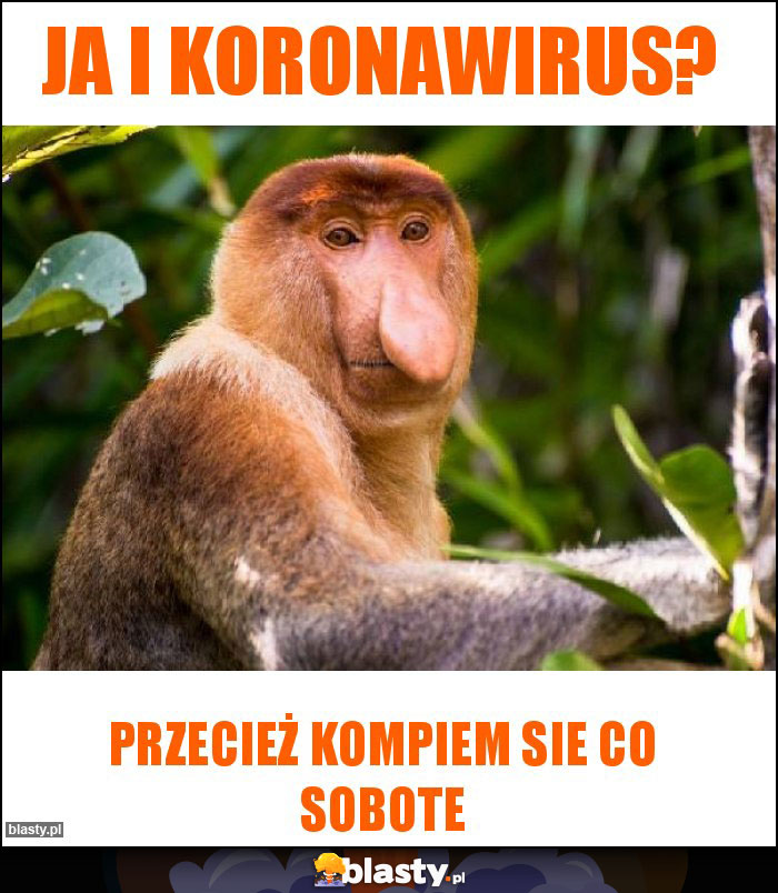 Ja i Koronawirus?