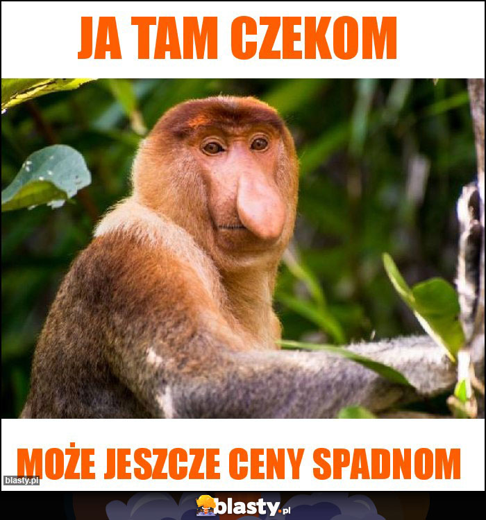 Ja tam czekom