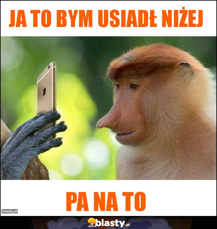 Ja To Bym Usiadł Niżej