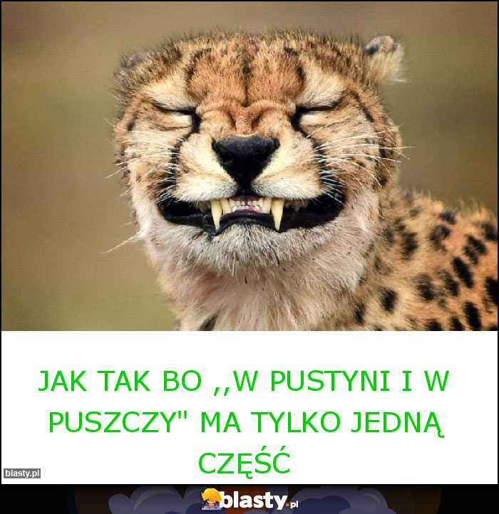 Jak tak bo ,,W pustyni i w puszczy