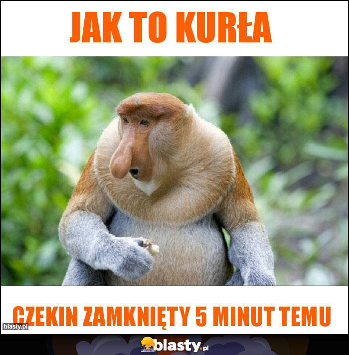 Jak to kurła