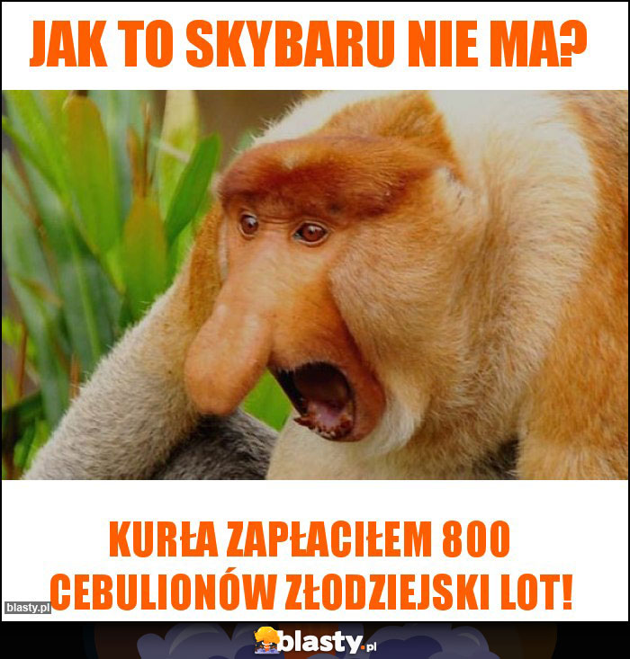 Jak to skybaru nie ma?