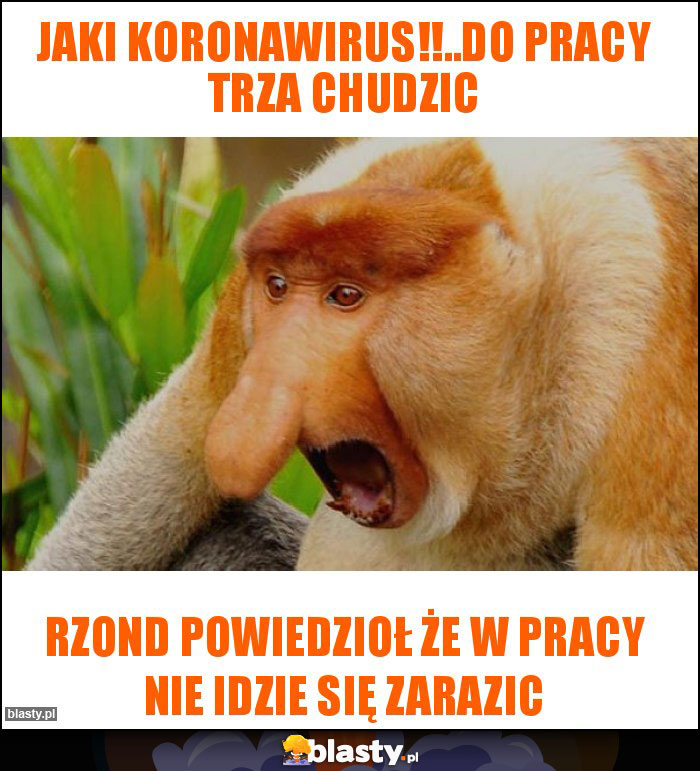 Jaki koronawirus!!..Do pracy trza chudzic