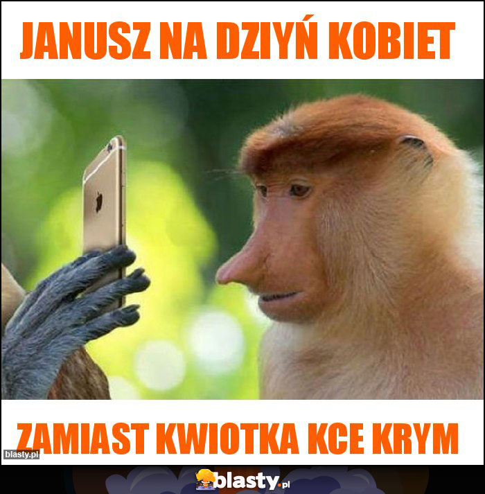 Janusz na dziyń kobiet