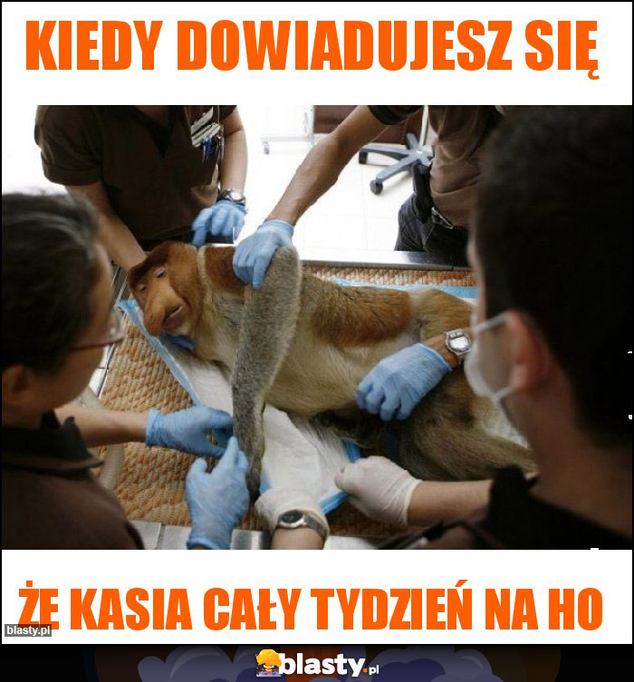 Kiedy dowiadujesz się