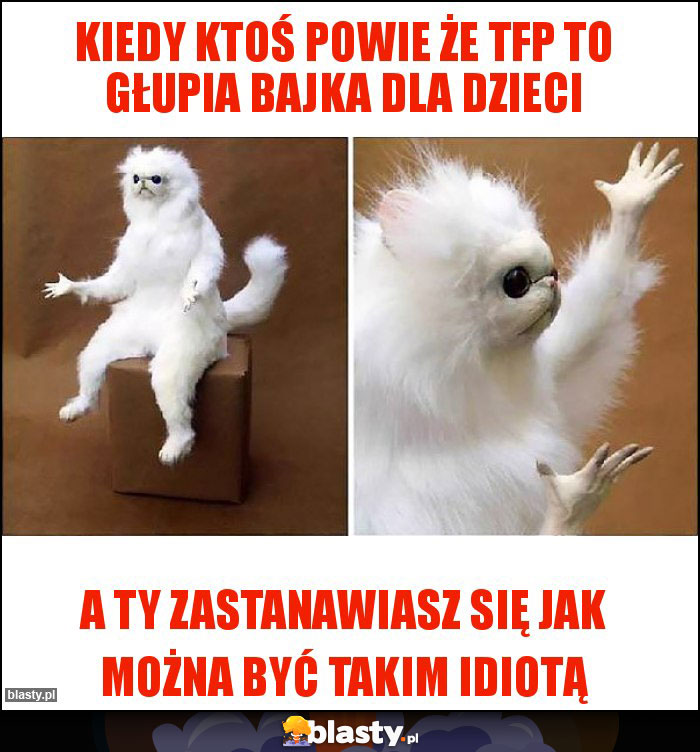 Kiedy ktoś powie że TFP to głupia bajka dla dzieci