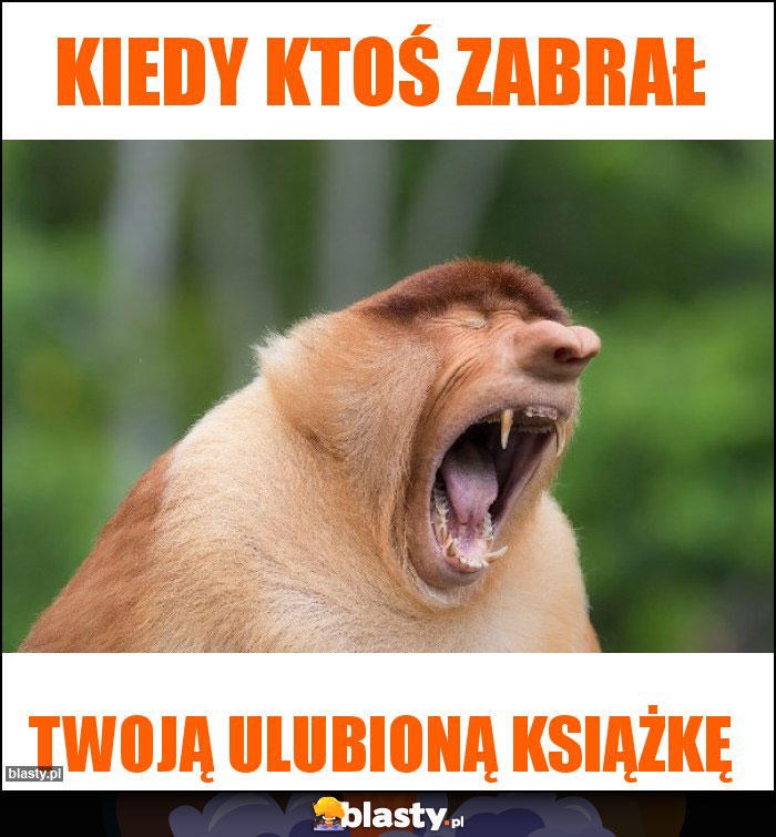 Kiedy ktoś zabrał