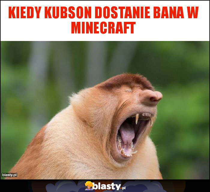 KIEDY KUBSON DOSTANIE BANA W MINECRAFT