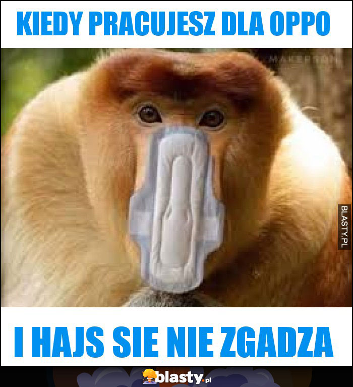 kiedy pracujesz dla oppo