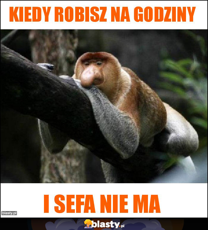 Kiedy robisz na godziny